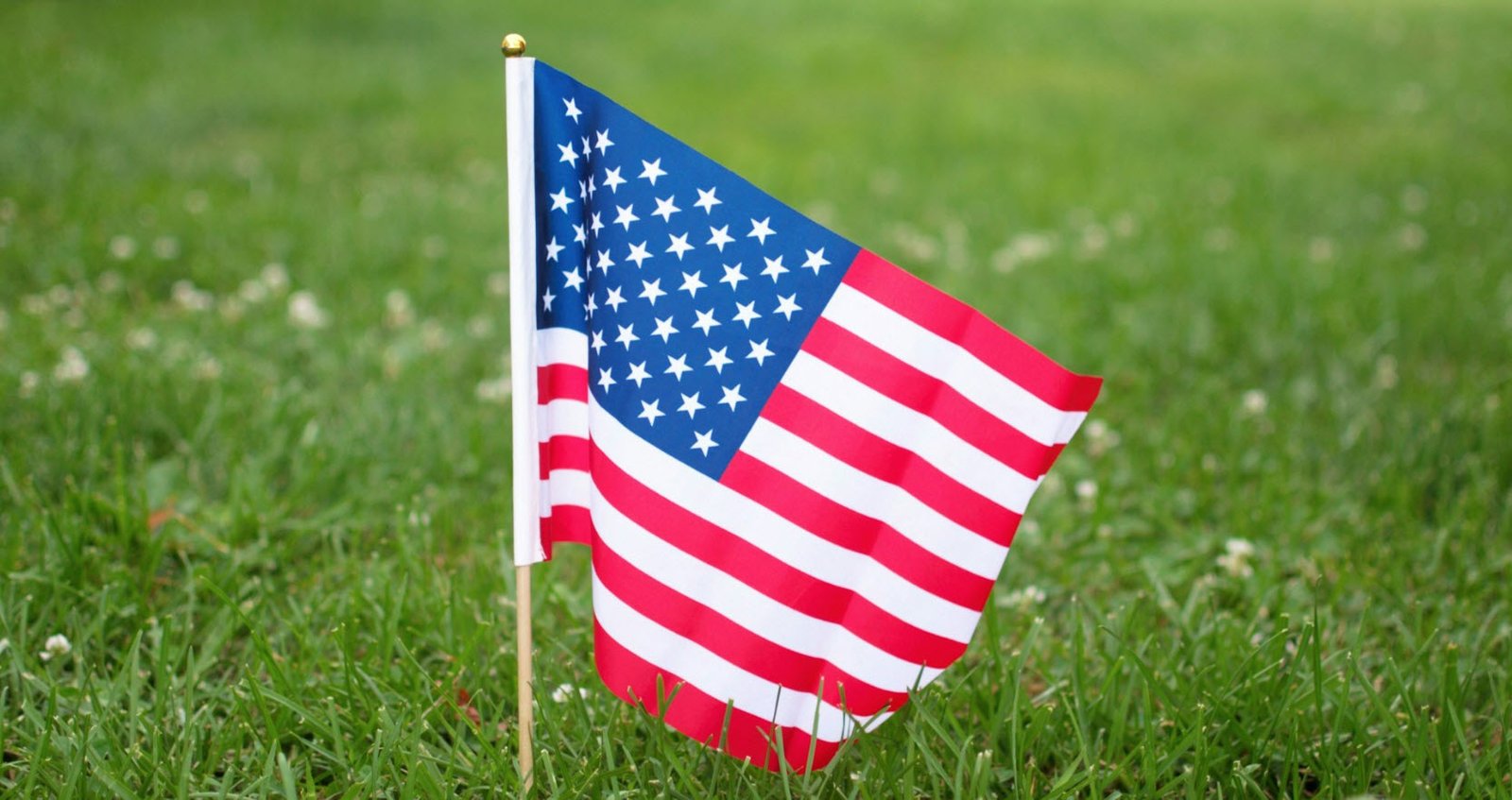 Thinking About Traveling to the United States? We Want to Hear Your Story | USAvora